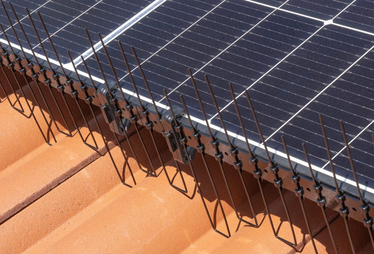 Barriera ad aghi in acciaio inox lungo il bordo dei moduli fotovoltaici
