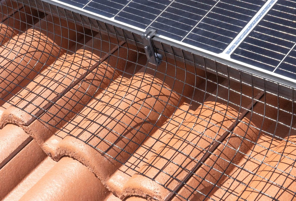 Rete metallica anti-piccioni a maglia fitta sotto i moduli fotovoltaici