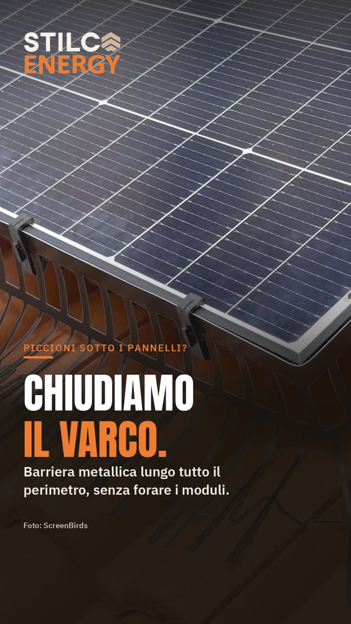 Video: Piccioni sotto i pannelli fotovoltaici: la barriera senza fori